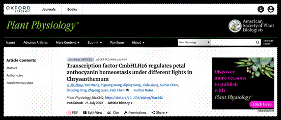 PP区块链游戏截图